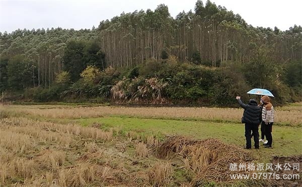 丰台区陈老师带着爱徒寻龙点穴